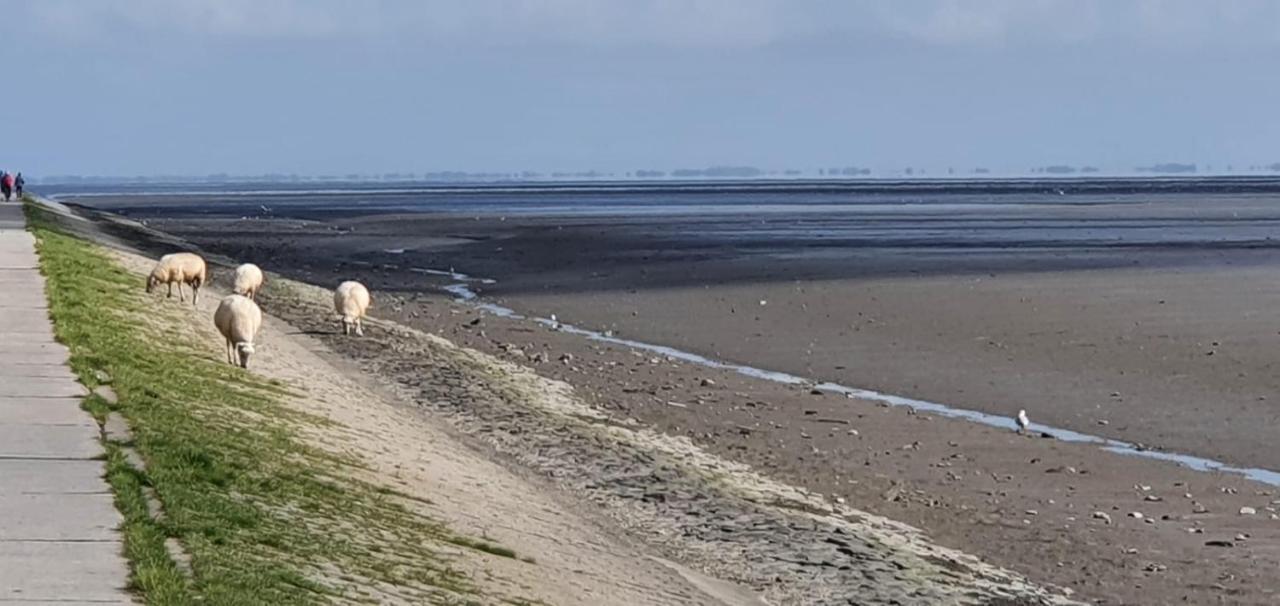 Fewo Mit Meerblick - Direktzugang Zur Nordsee Daire Wilhelmshaven Dış mekan fotoğraf